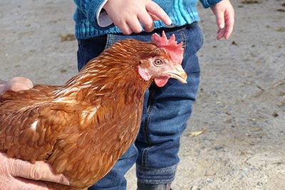 Il mondo dei bambini al Maso Mairing