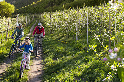 Radfahren im Vinschgau