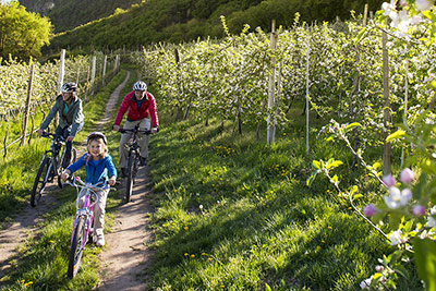 Giri in bicletta in Val Venosta