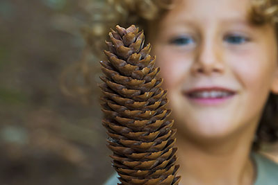 Kinderwelt am Bauernhof Mairing